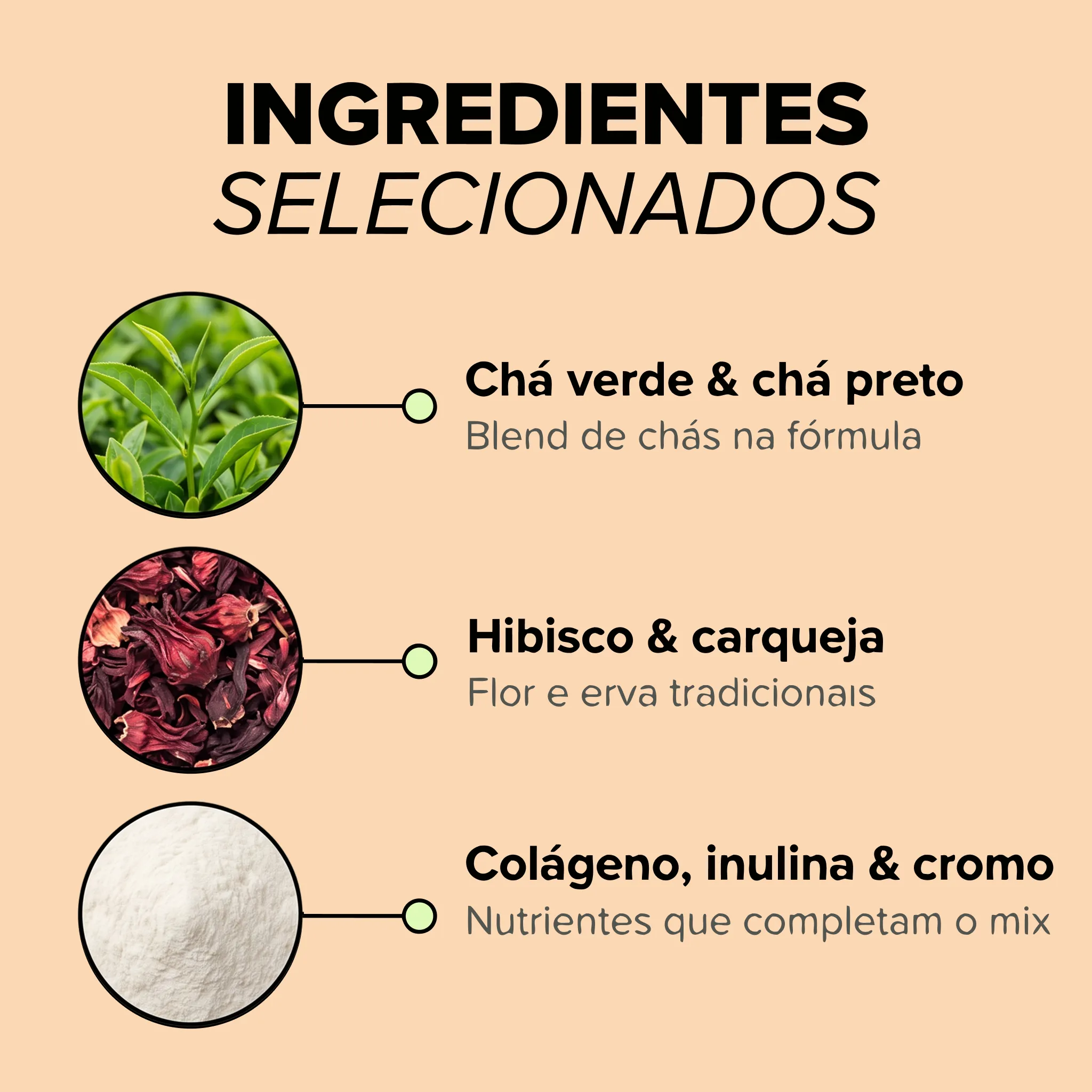 Ingredientes selecionados